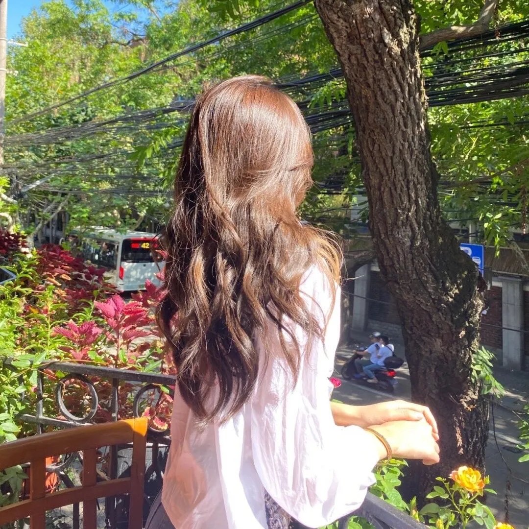 泡影昙花
